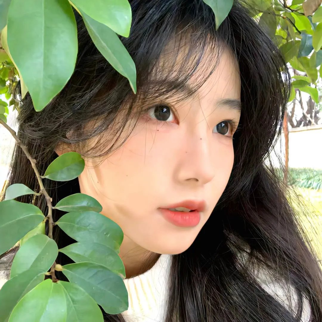 少林兄弟